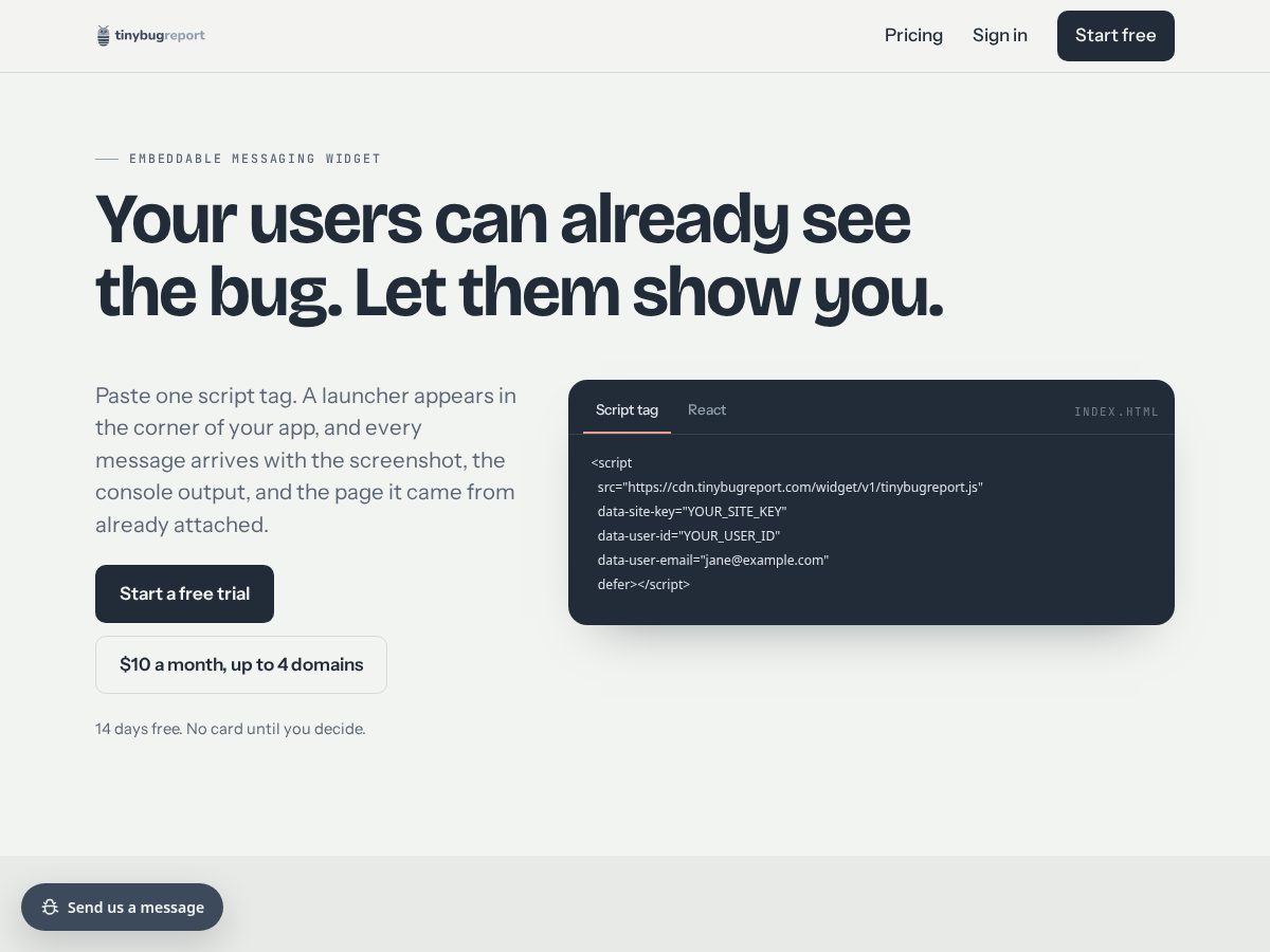 Landing-page snapshot of tinybugreport.com