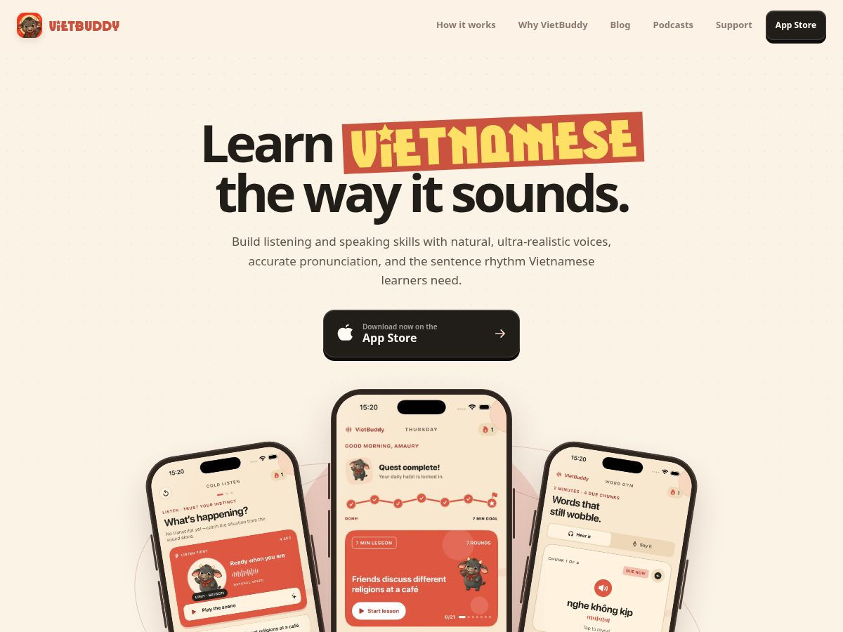 Landing-page snapshot of vietbuddy.app