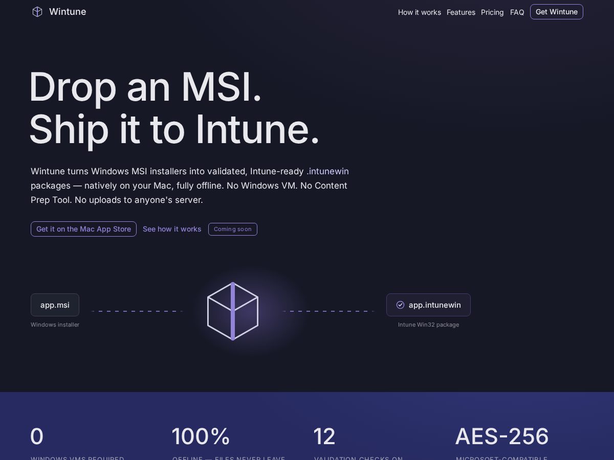 Landing-page snapshot of wintune.app