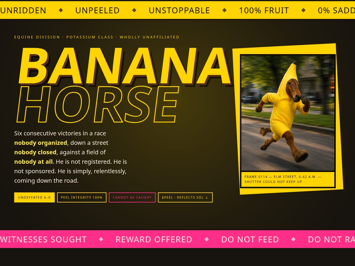 Landing-page snapshot of bananahorse.xyz