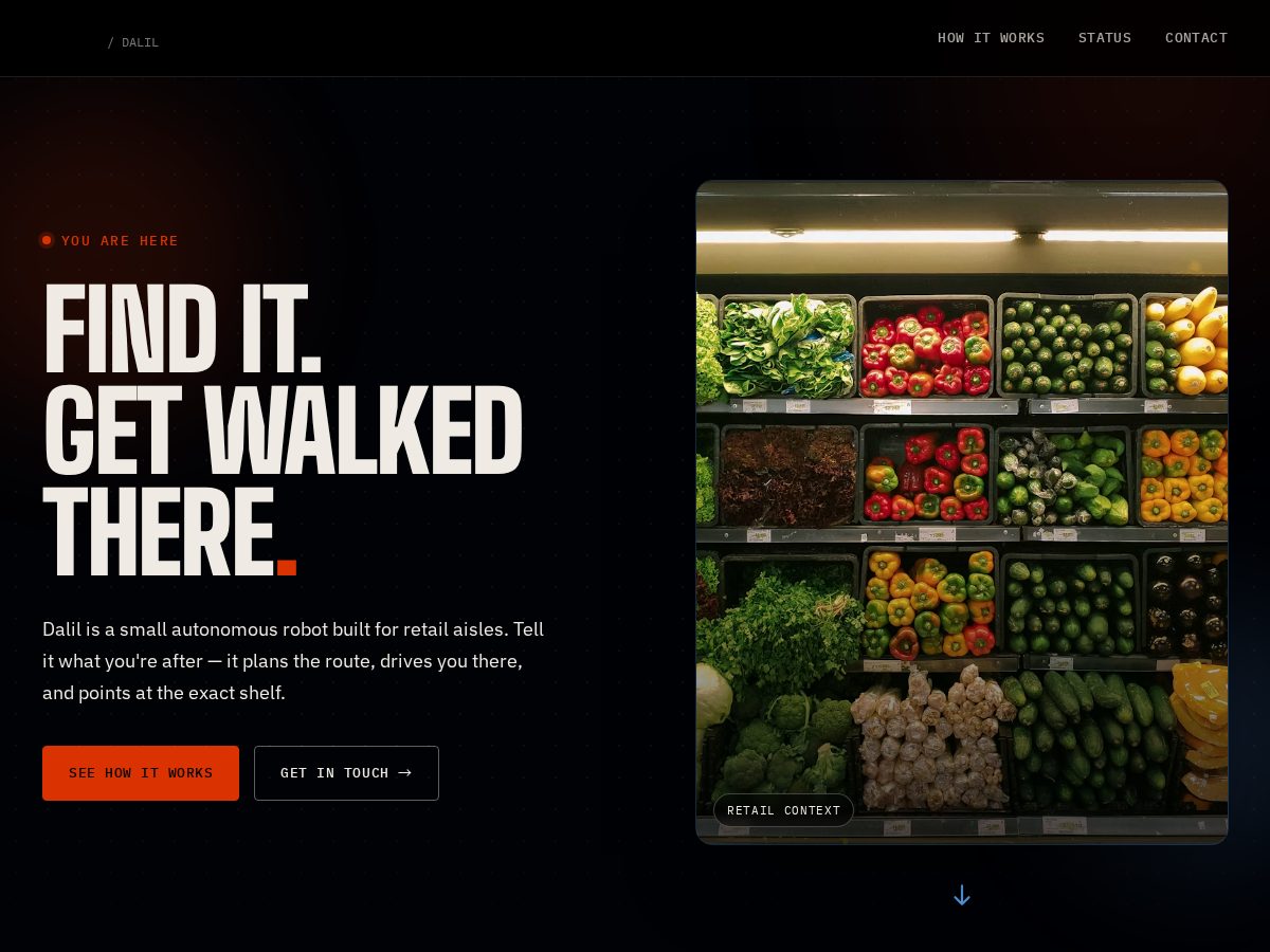 Landing-page snapshot of dalil.page