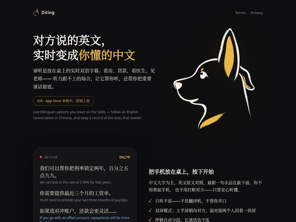 Landing-page snapshot of diting.app