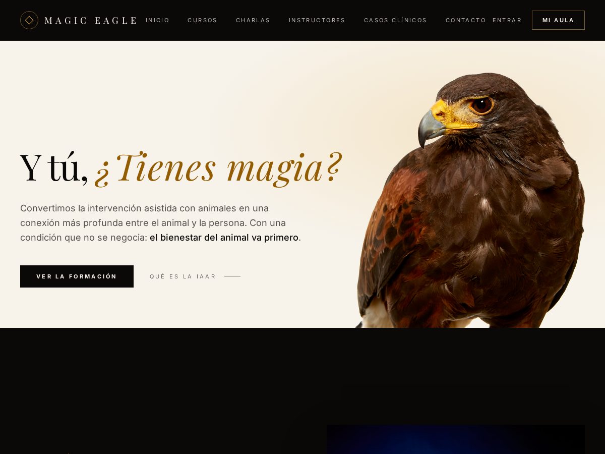 Landing-page snapshot of magiceagleacademy.com