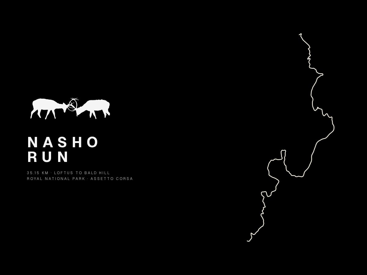 Landing-page snapshot of nashorun.com