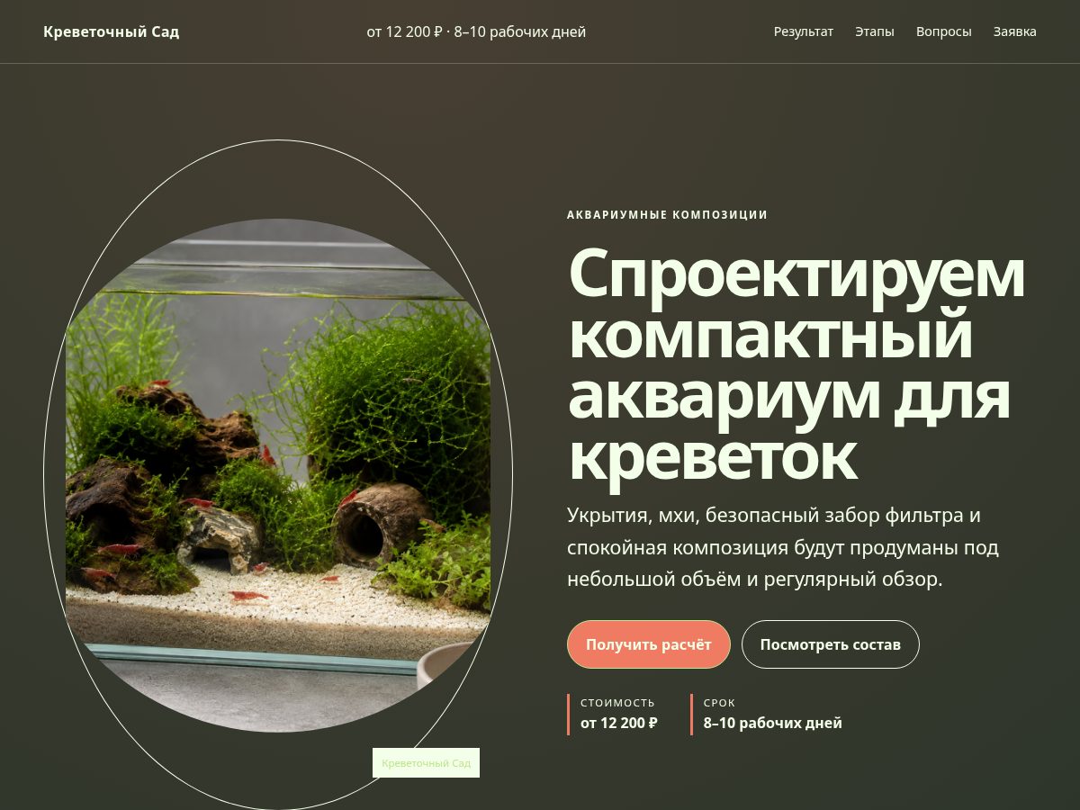 Landing-page snapshot of orangeorbit.online