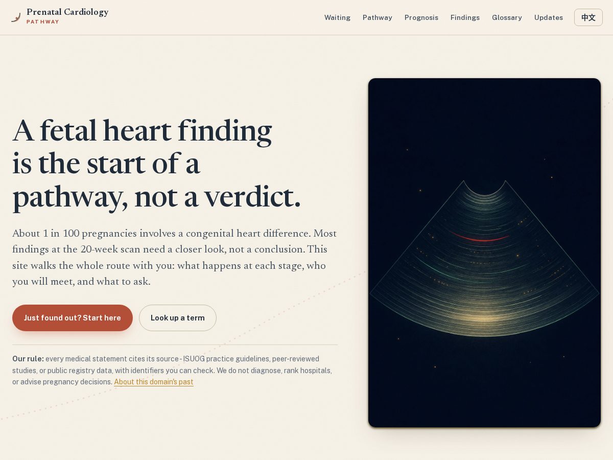 Landing-page snapshot of prenatalcardiology.org