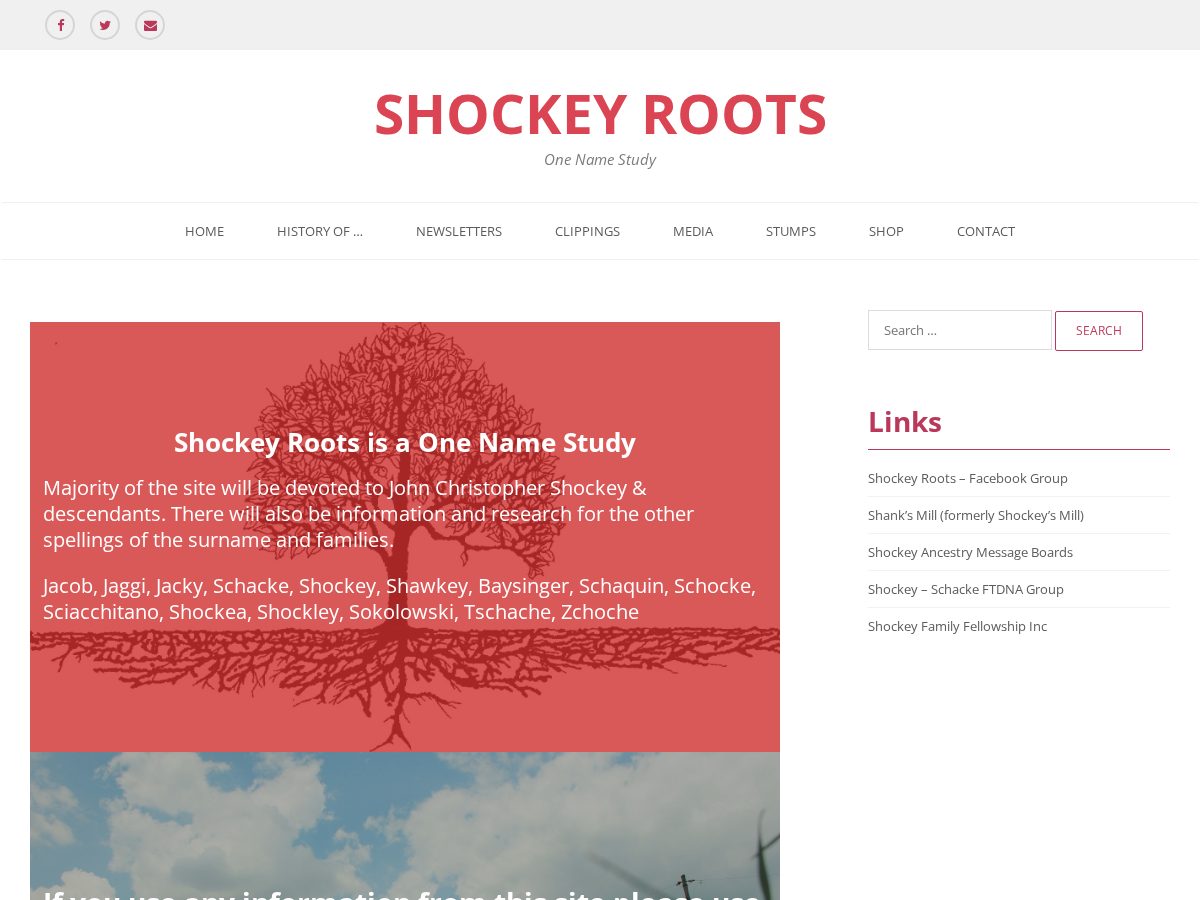 Landing-page snapshot of shockeyroots.com