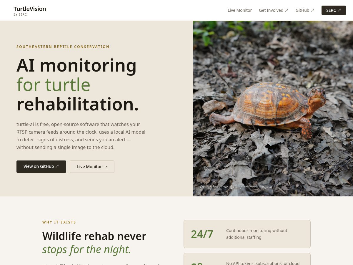 Landing-page snapshot of turtlevision.org