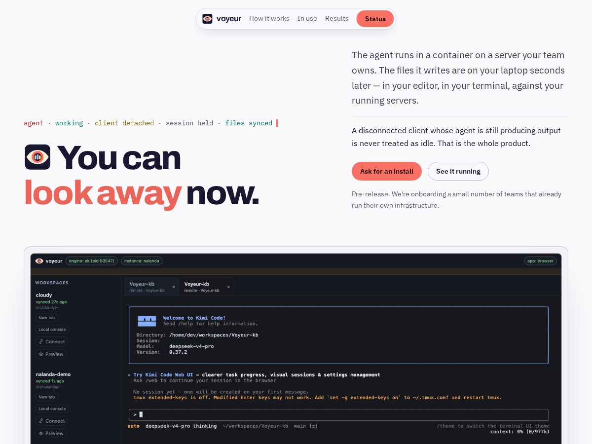 Landing-page snapshot of voyeur.dev