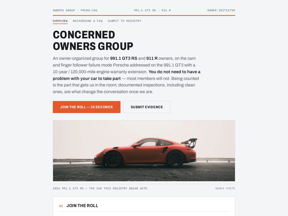 Landing-page snapshot of 991rs.org