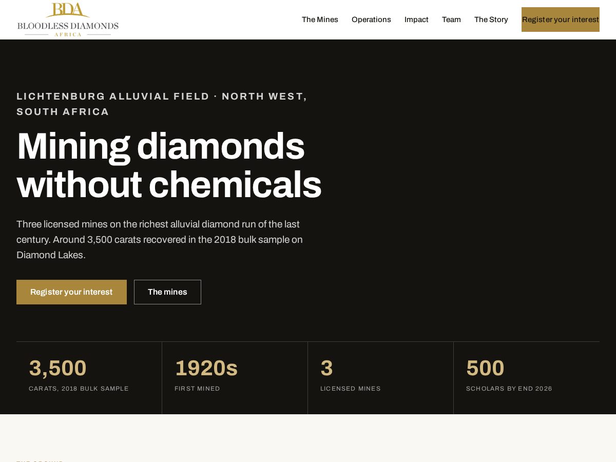 Landing-page snapshot of bloodlessdiamonds.com