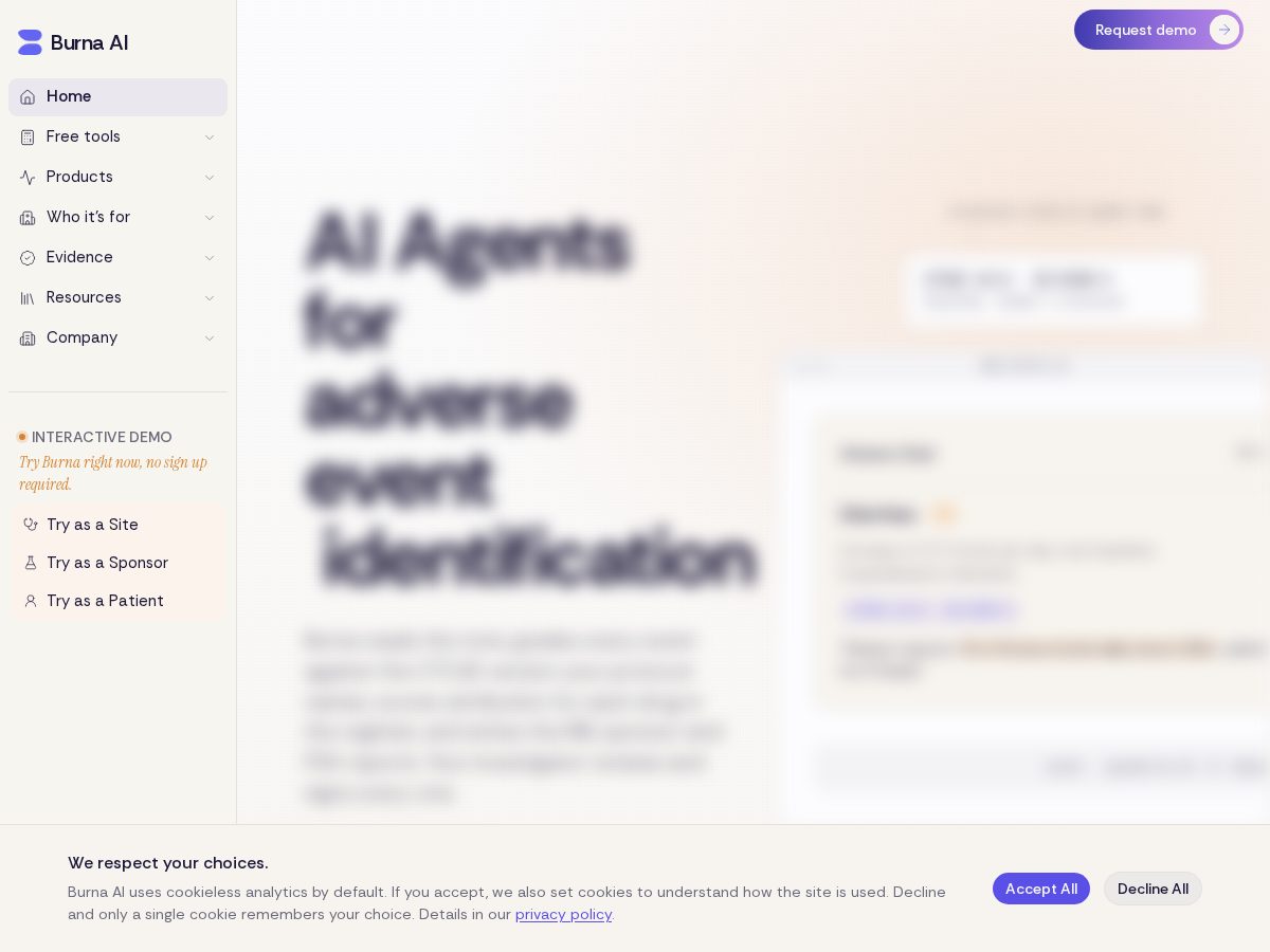 Landing-page snapshot of burna.dev