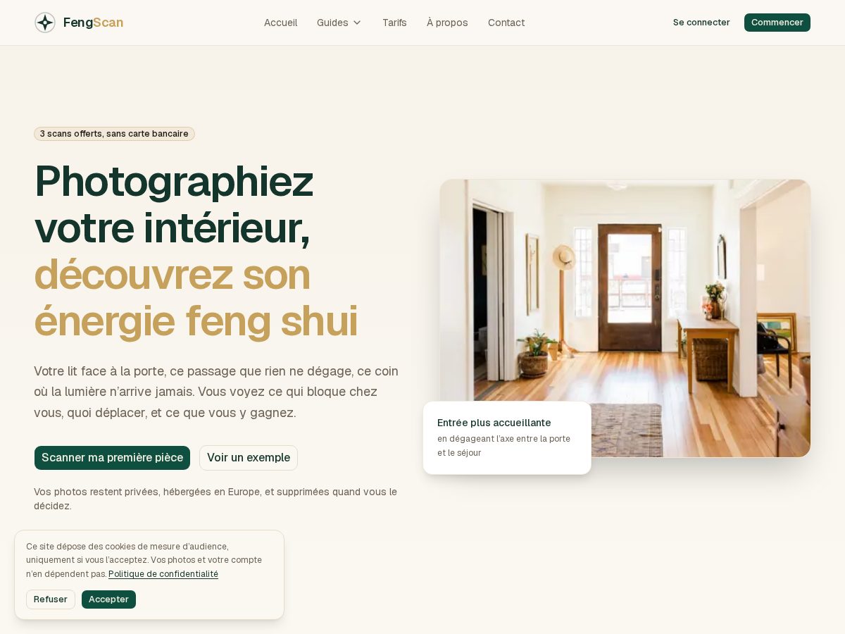 Landing-page snapshot of fengscan.app