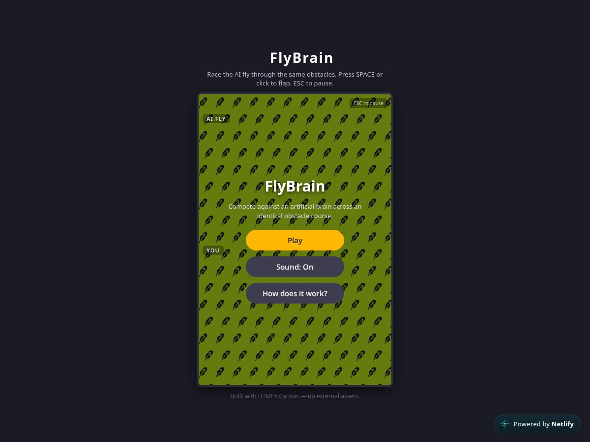 Landing-page snapshot of flybraingame.xyz
