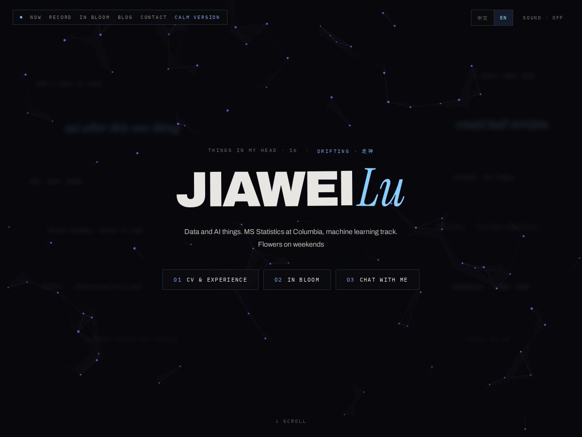 Landing-page snapshot of ljvvivian.net