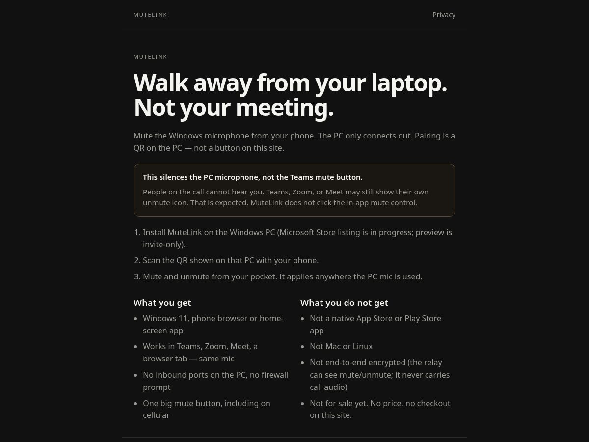 Landing-page snapshot of mutelink.net