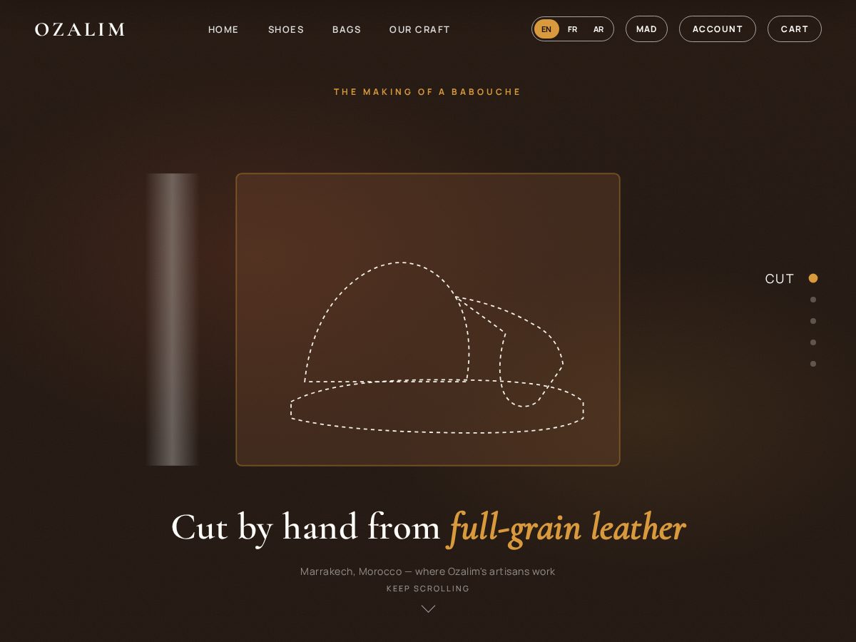 Landing-page snapshot of ozalim.com