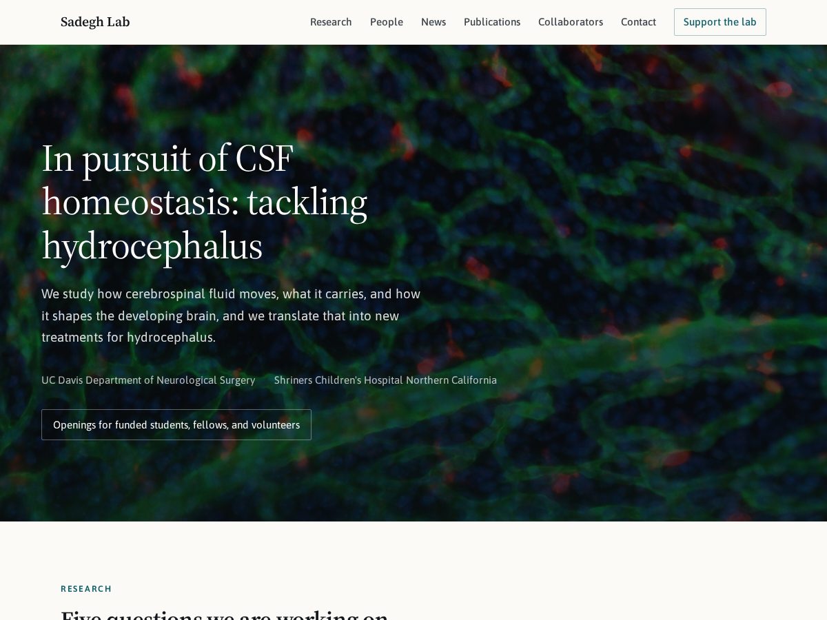 Landing-page snapshot of brainfluidslab.org