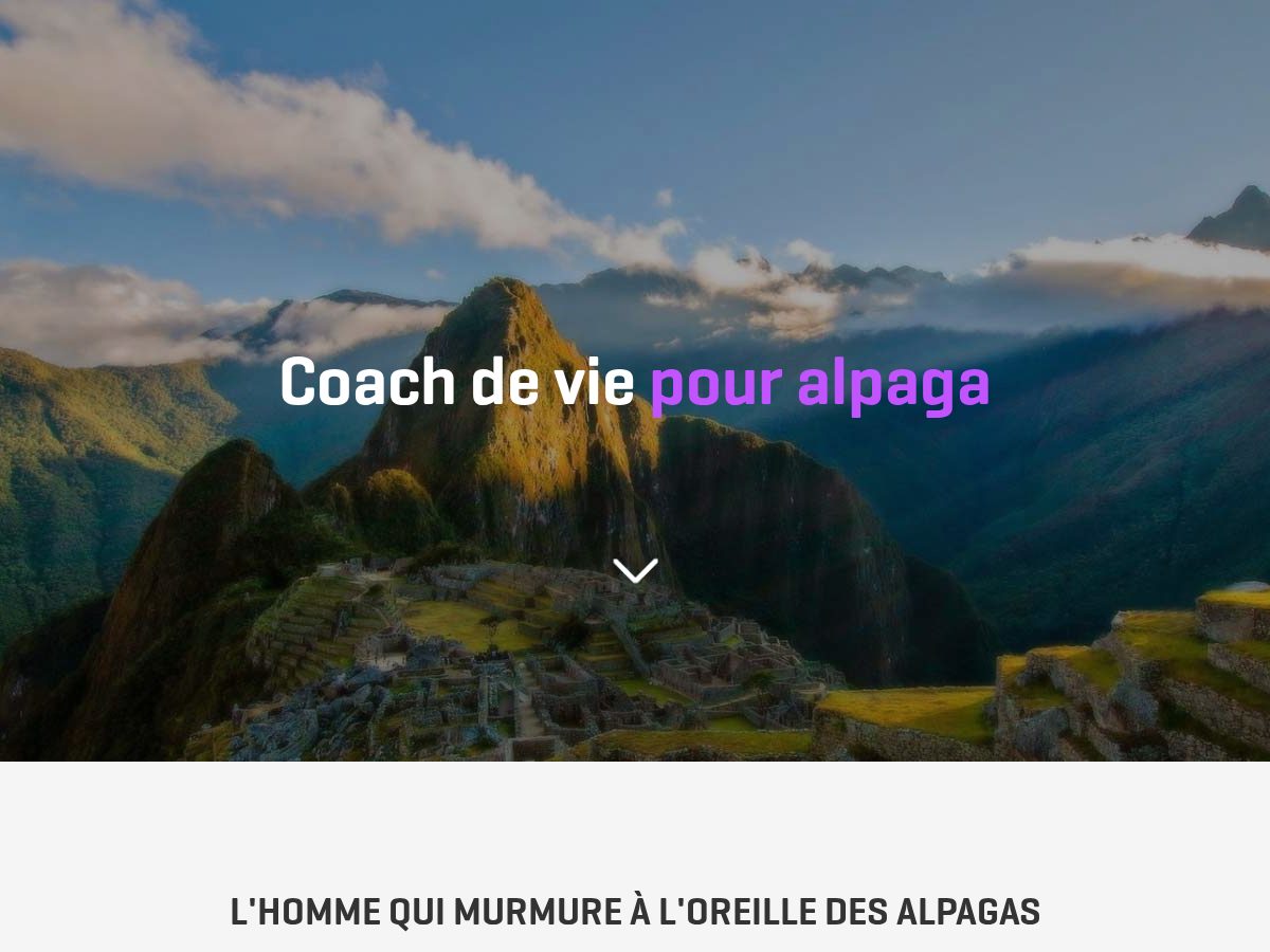 Landing-page snapshot of coachpouralpaga.com