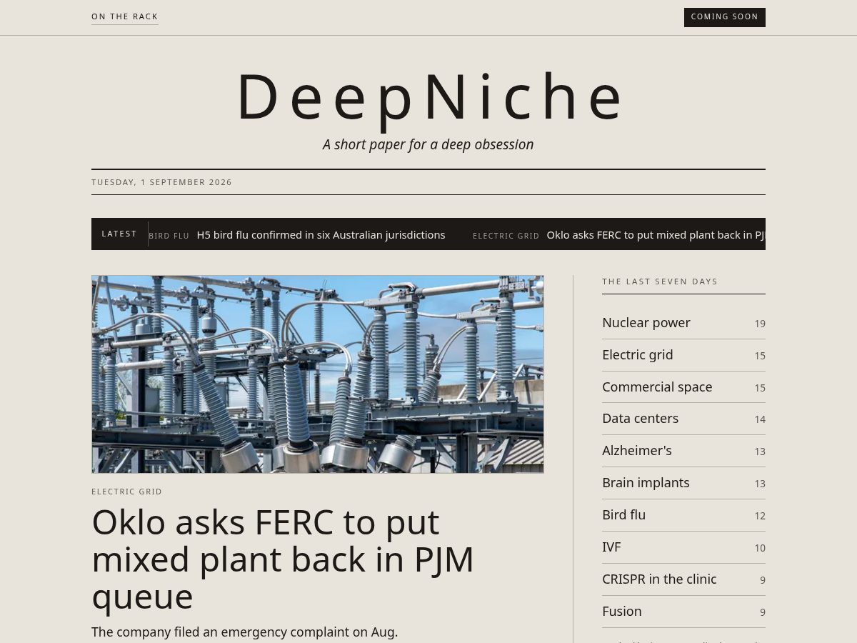 Landing-page snapshot of deepniche.app