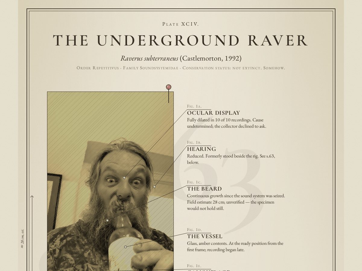Landing-page snapshot of ravetracker.com