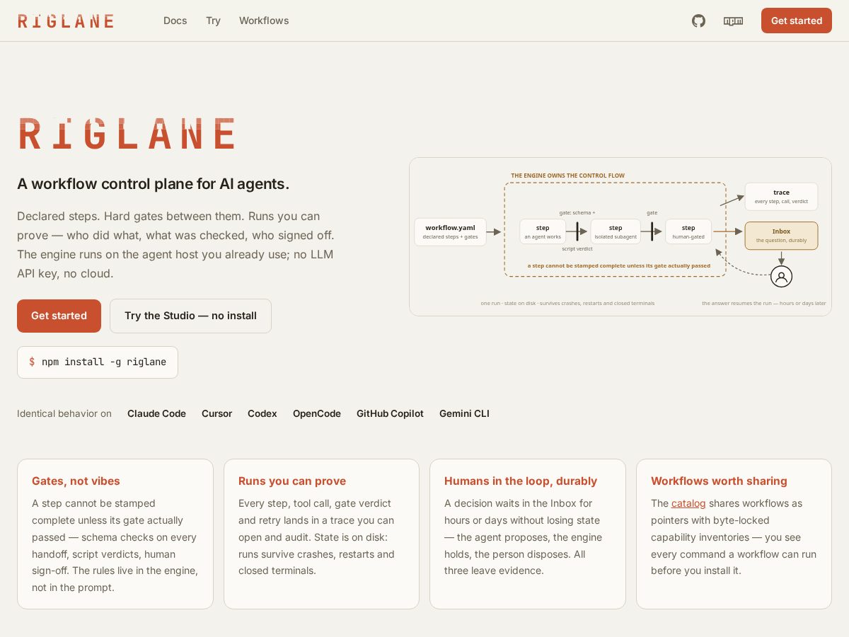Landing-page snapshot of riglane.dev