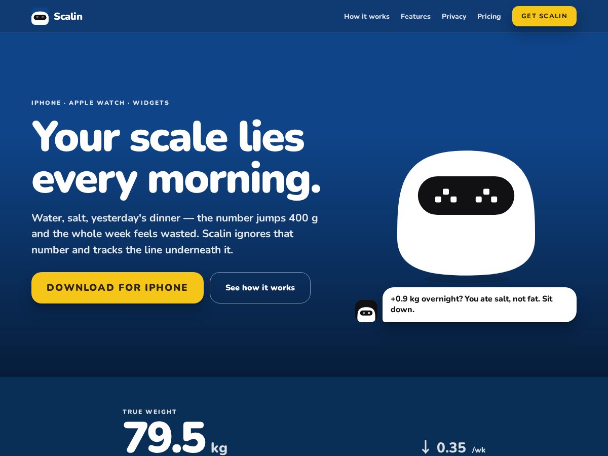 Landing-page snapshot of scalinapp.com