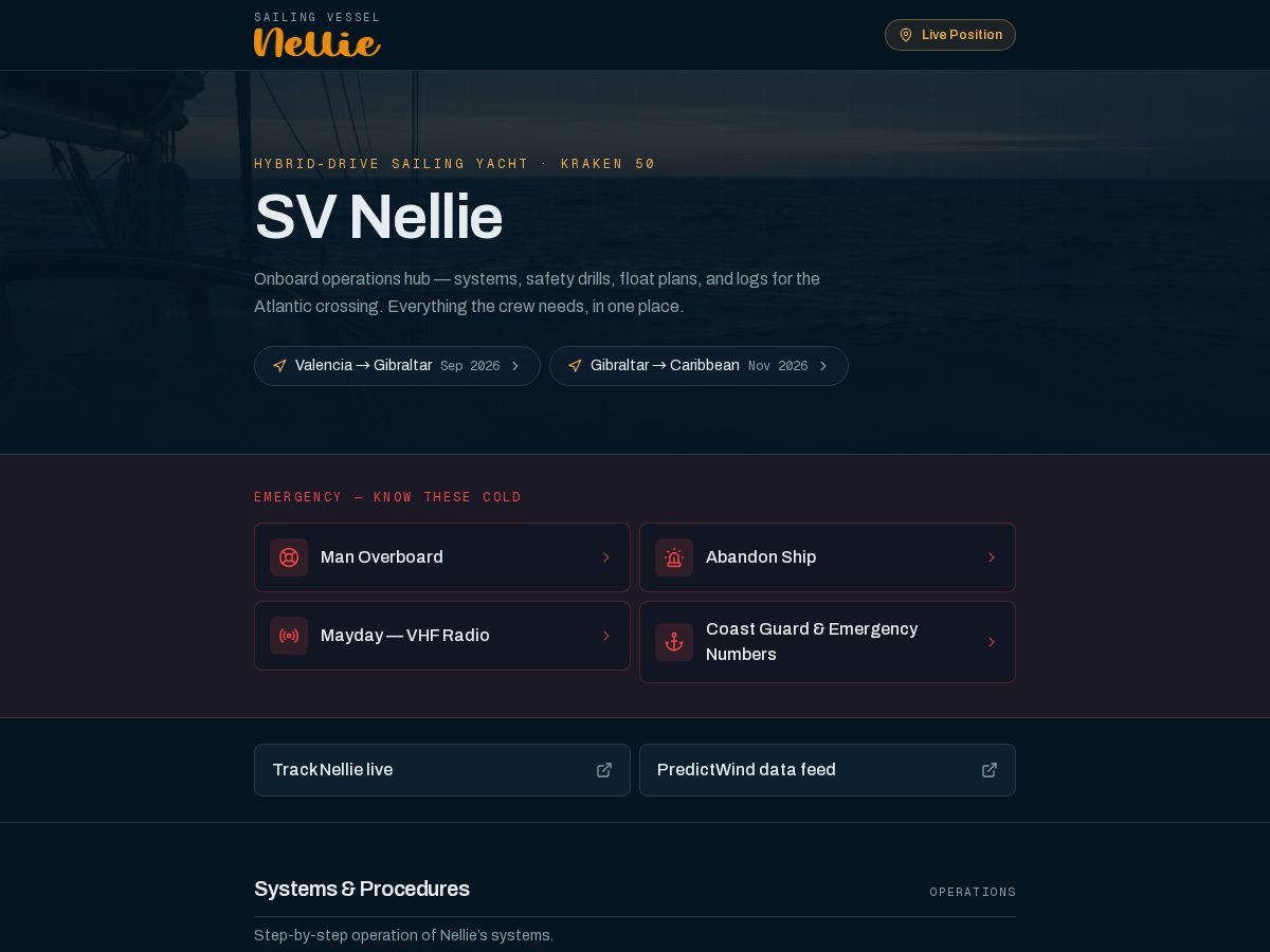 Landing-page snapshot of svnellie.com
