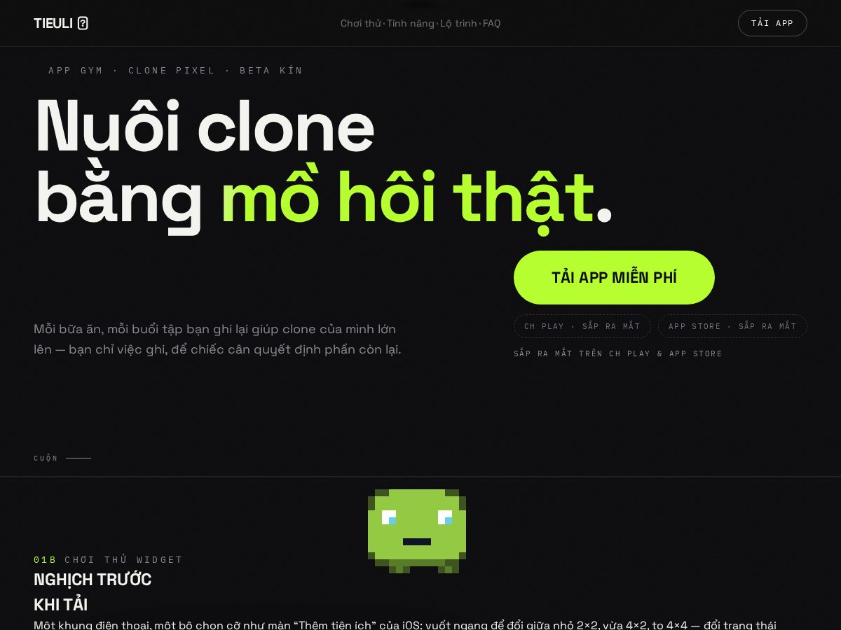 Landing-page snapshot of tieuli.com