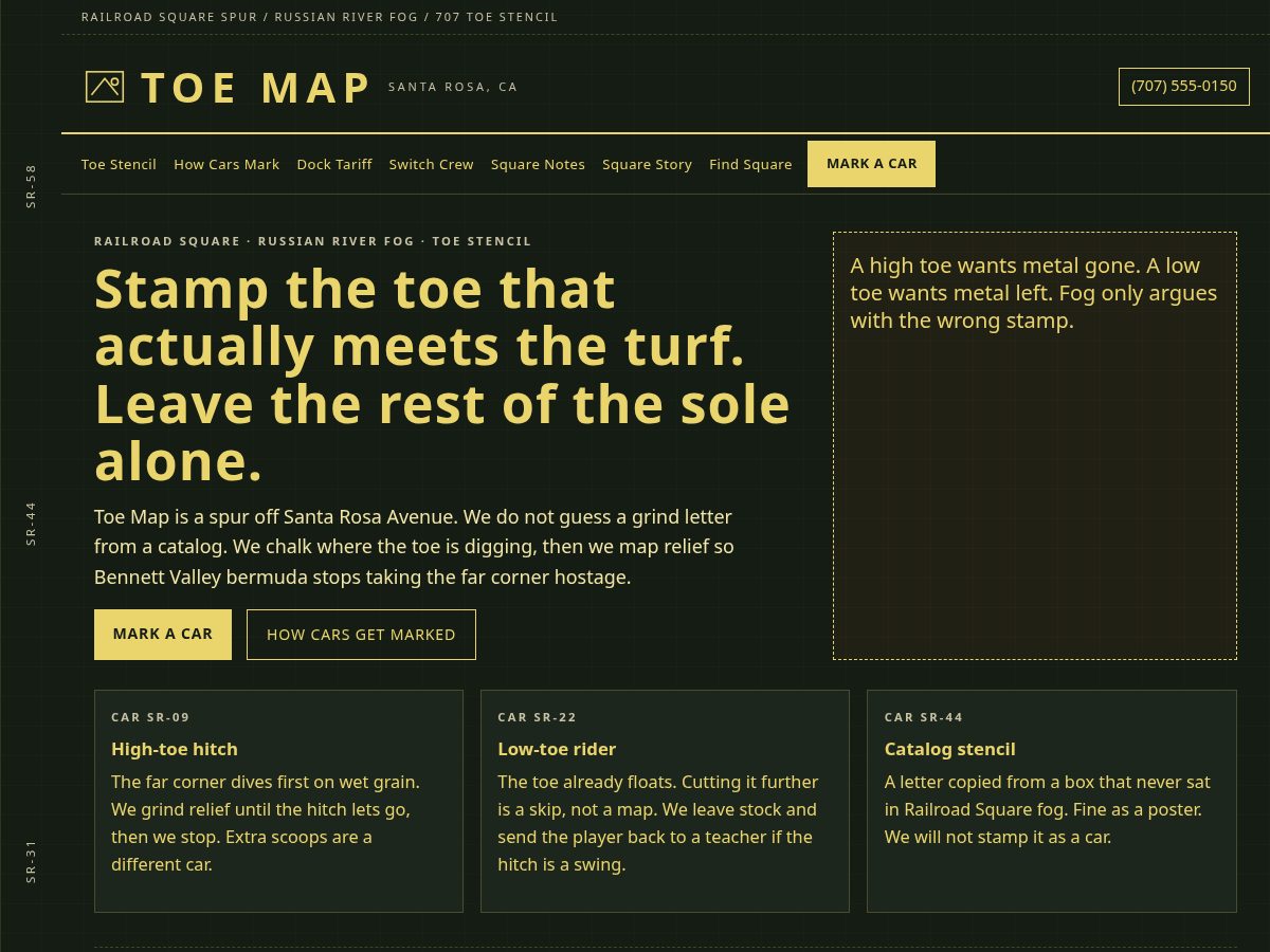 Landing-page snapshot of toemap.click