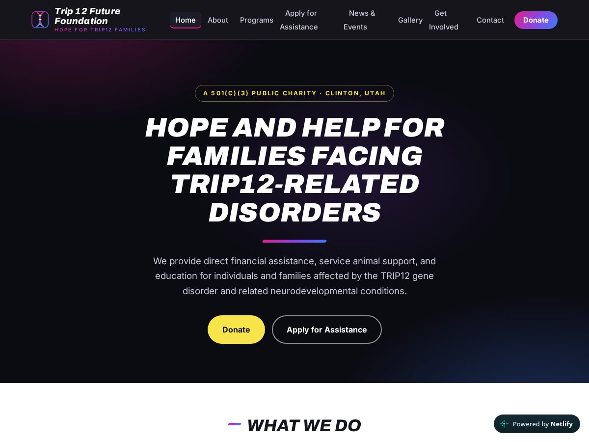 Landing-page snapshot of trip12futurefoundation.org