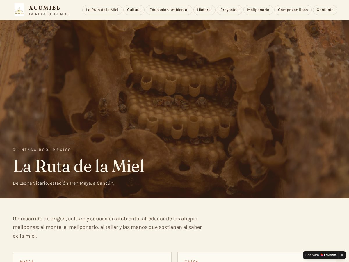 Landing-page snapshot of xuumiel.com