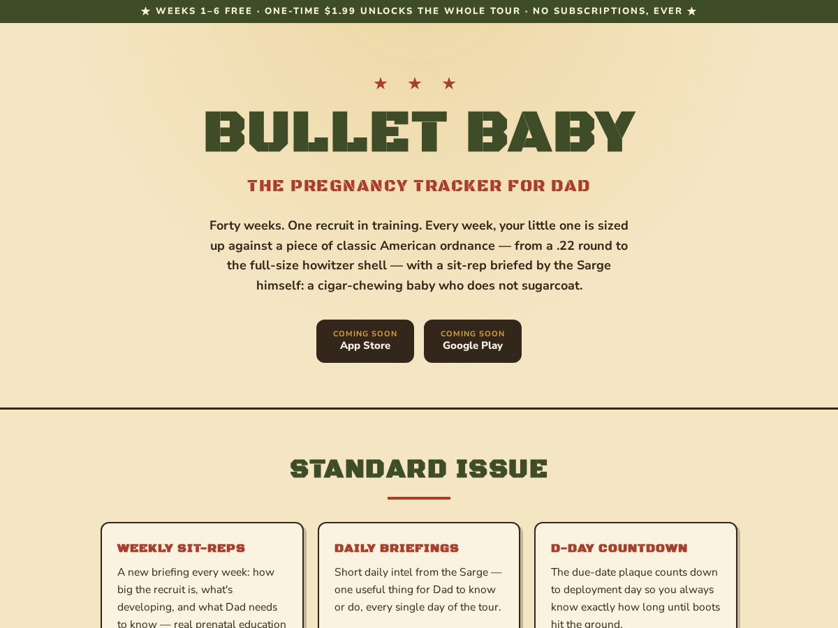Landing-page snapshot of bulletbaby.com