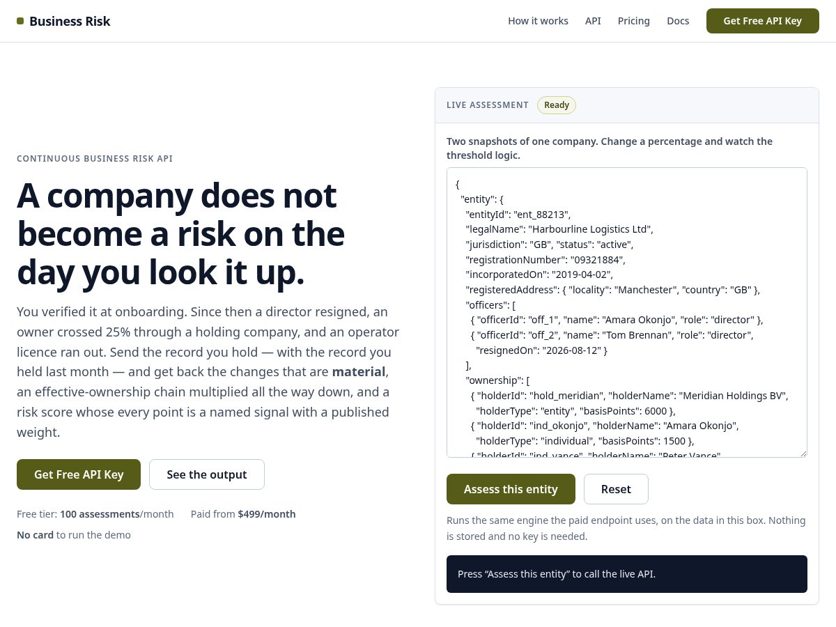 Landing-page snapshot of businessrisk-api.com