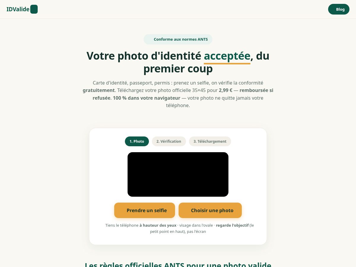 Landing-page snapshot of idvalide.com