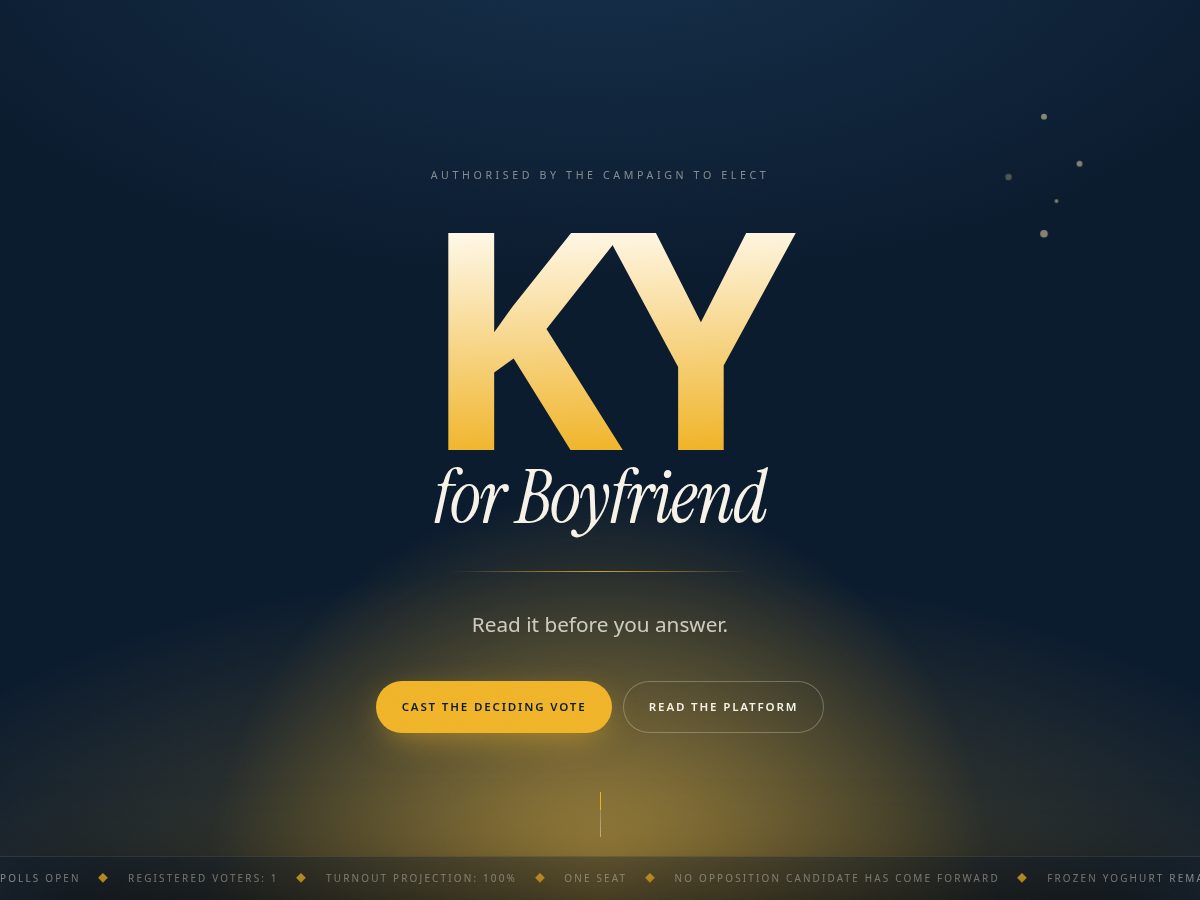 Landing-page snapshot of kyforboyfriend.com