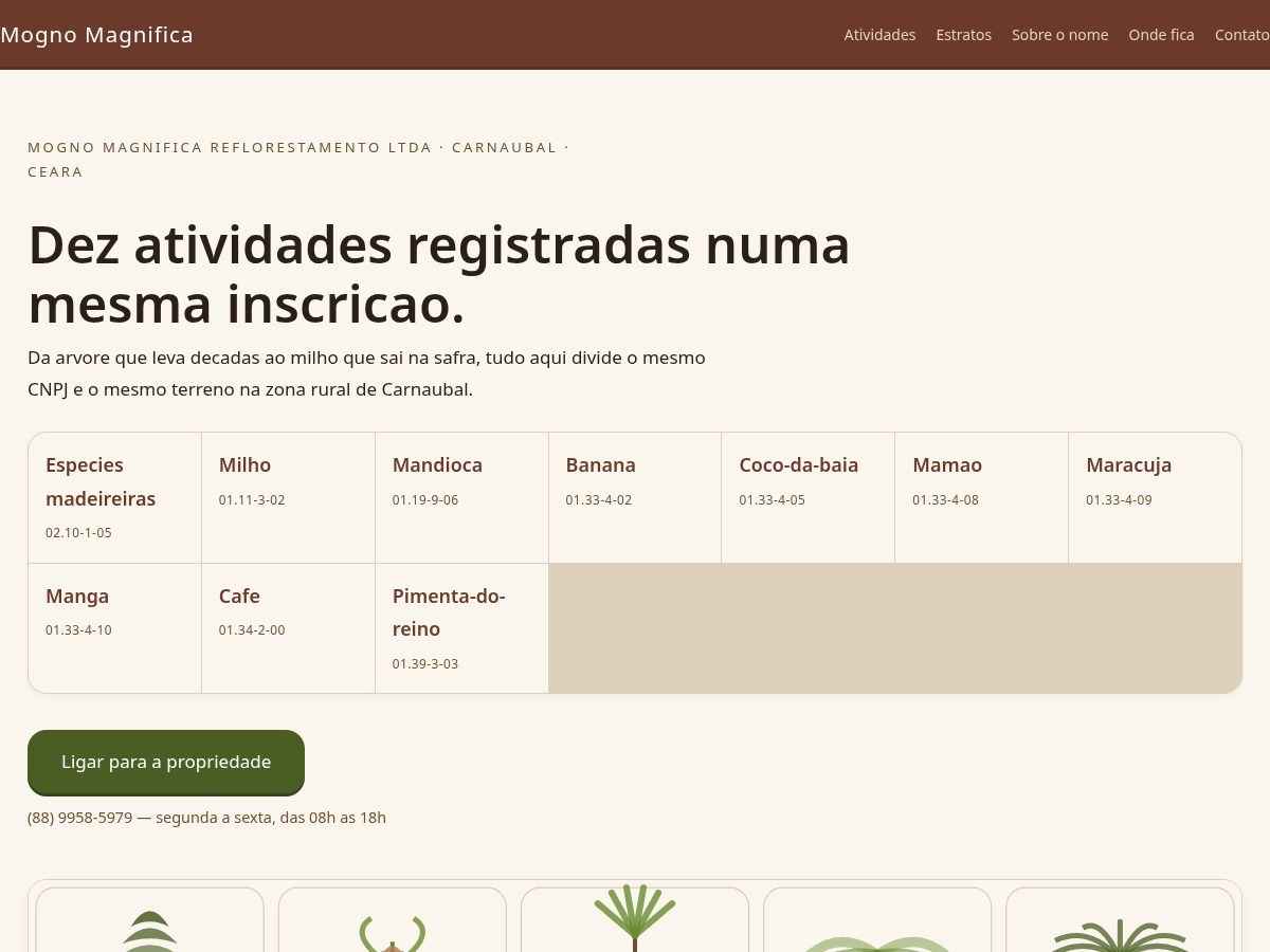 Landing-page snapshot of mognomagnifica.digital