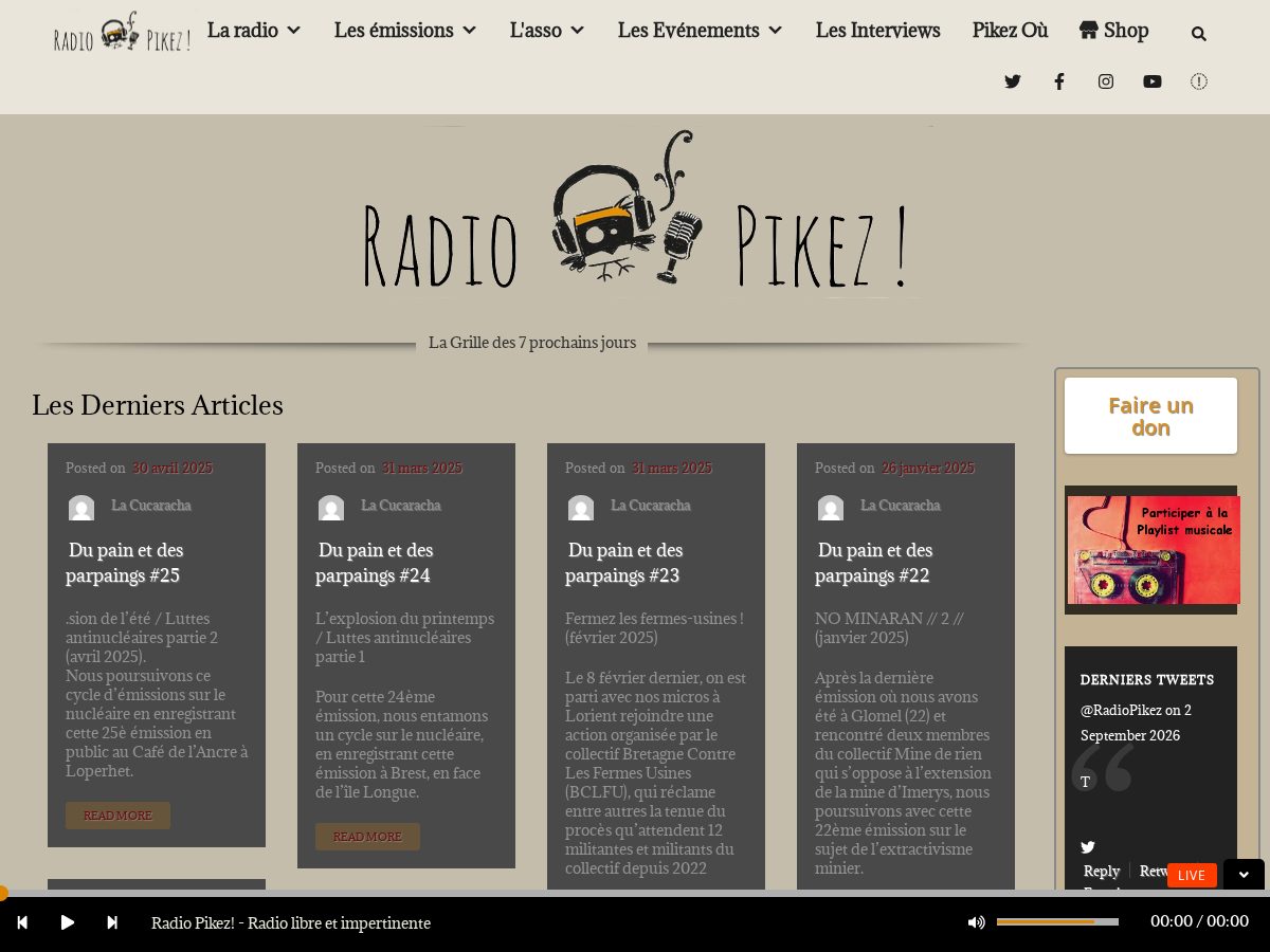Landing-page snapshot of pikez.space