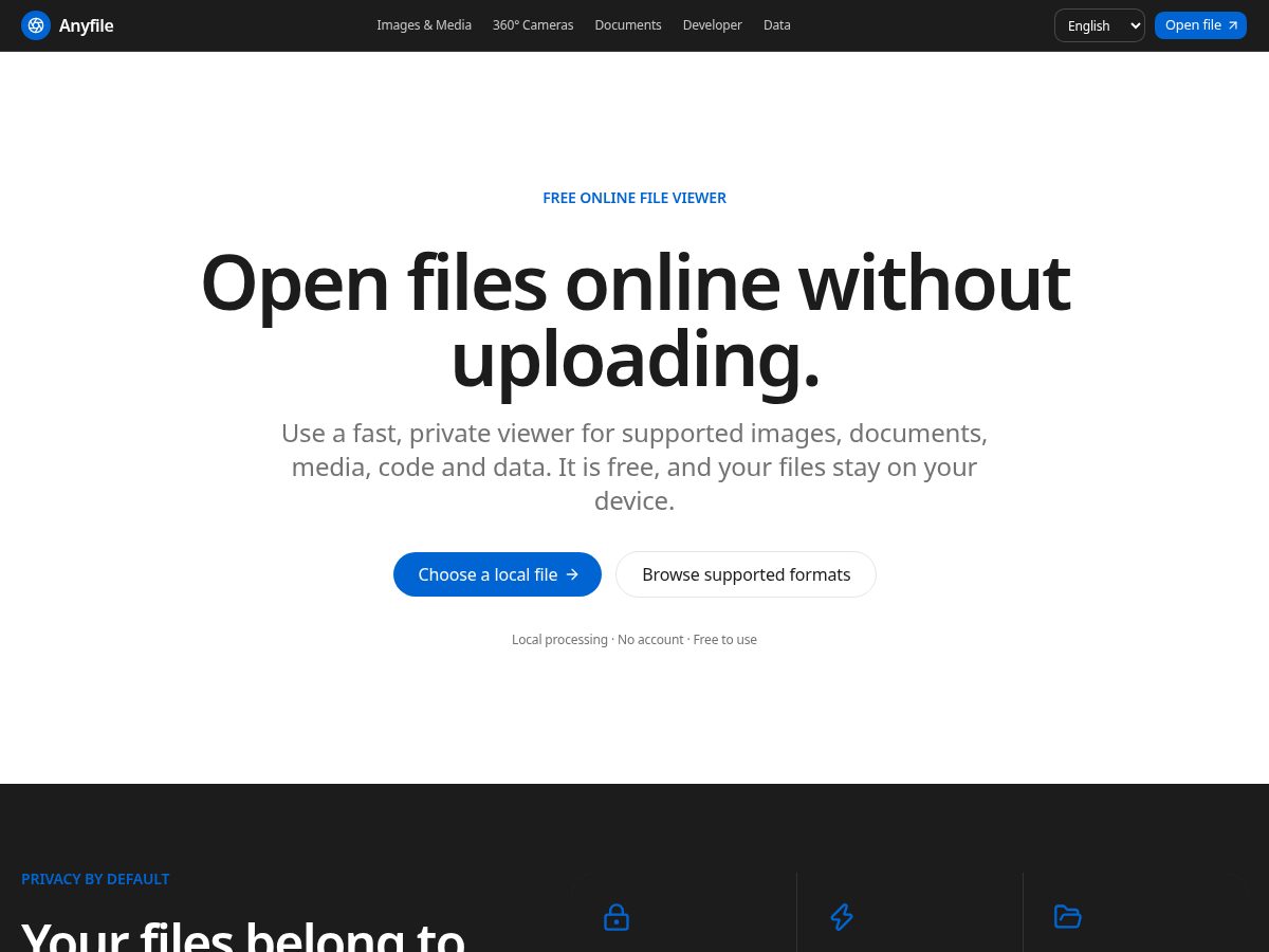 Landing-page snapshot of anyfile.top