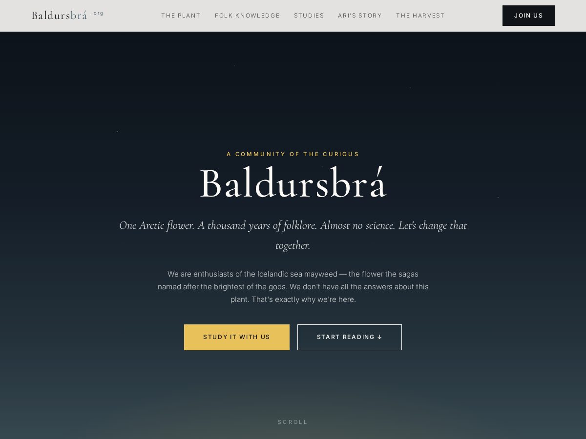 Landing-page snapshot of baldursbra.org