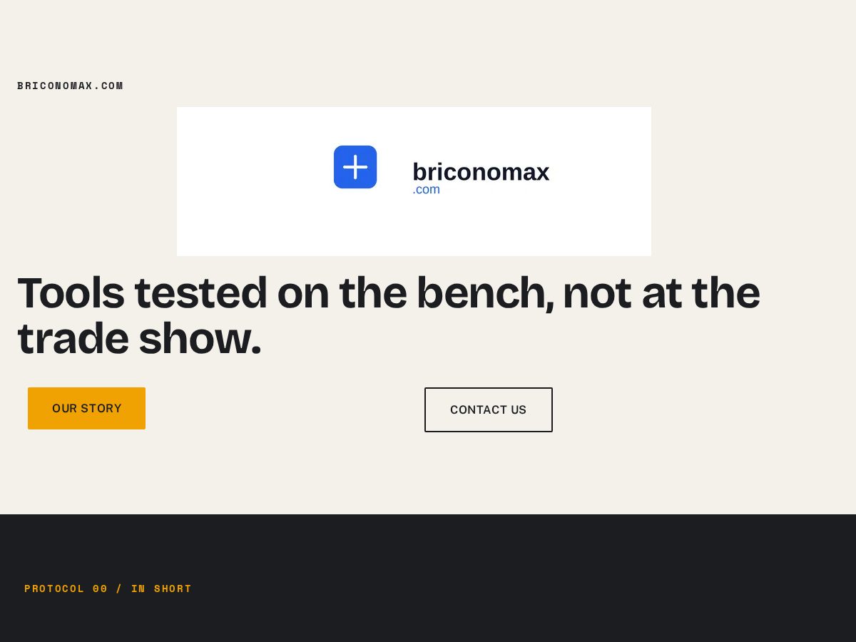 Landing-page snapshot of briconomax.com