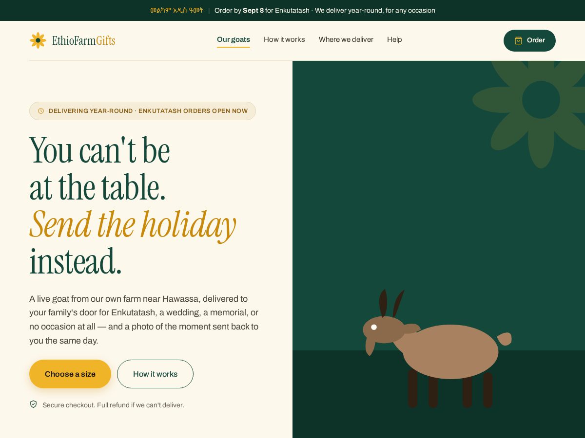 Landing-page snapshot of ethiofarmgifts.com