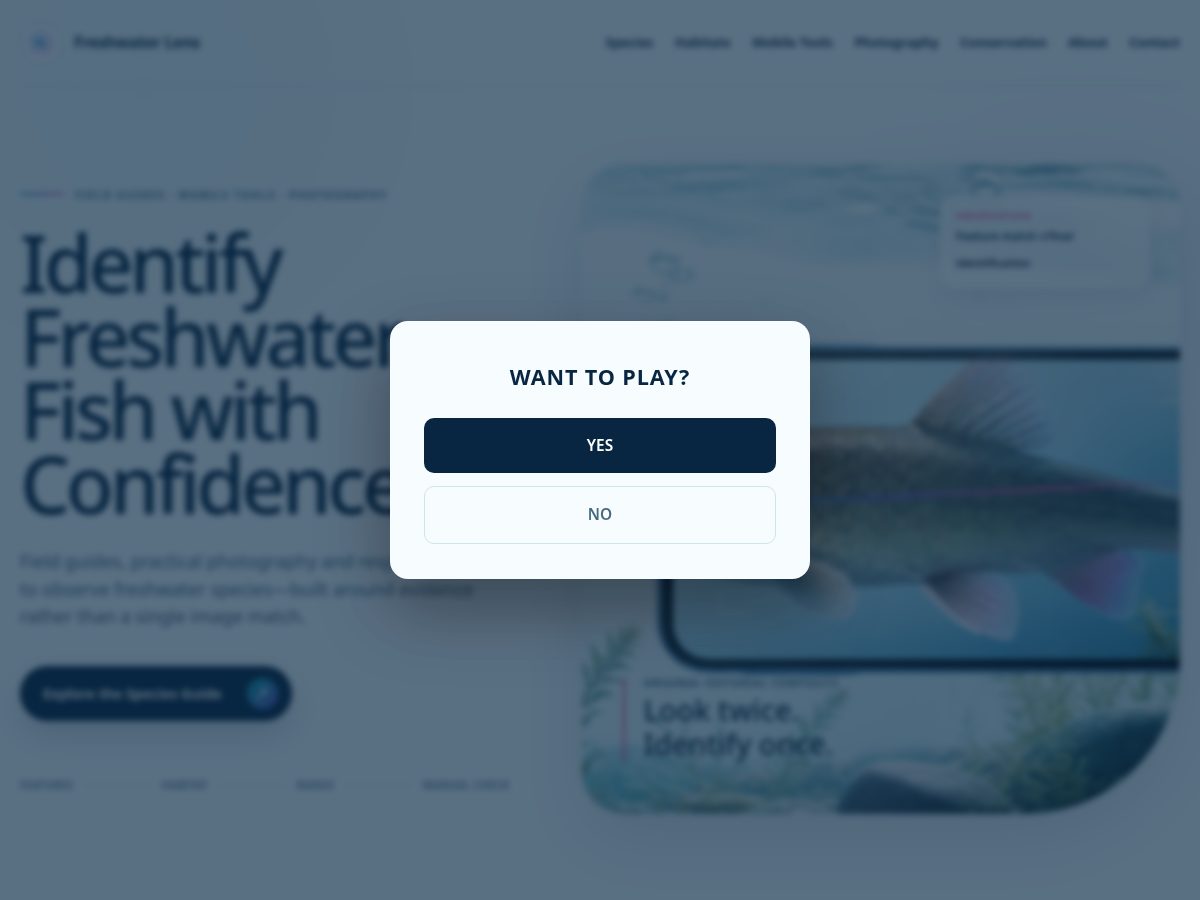 Landing-page snapshot of faeloravendix.site