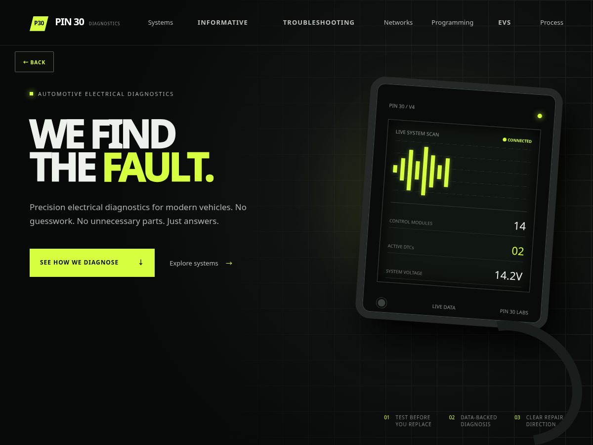Landing-page snapshot of pin-30.com