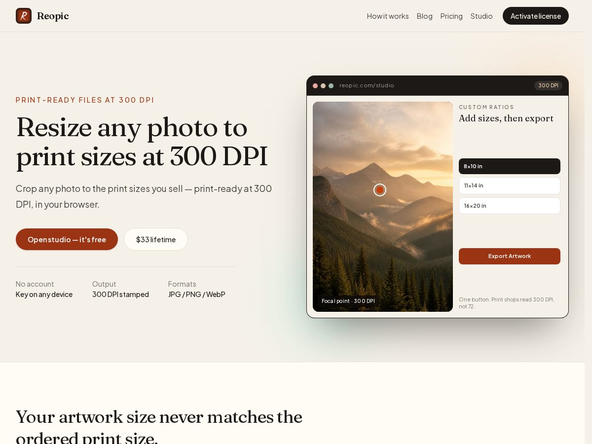 Landing-page snapshot of reopic.com