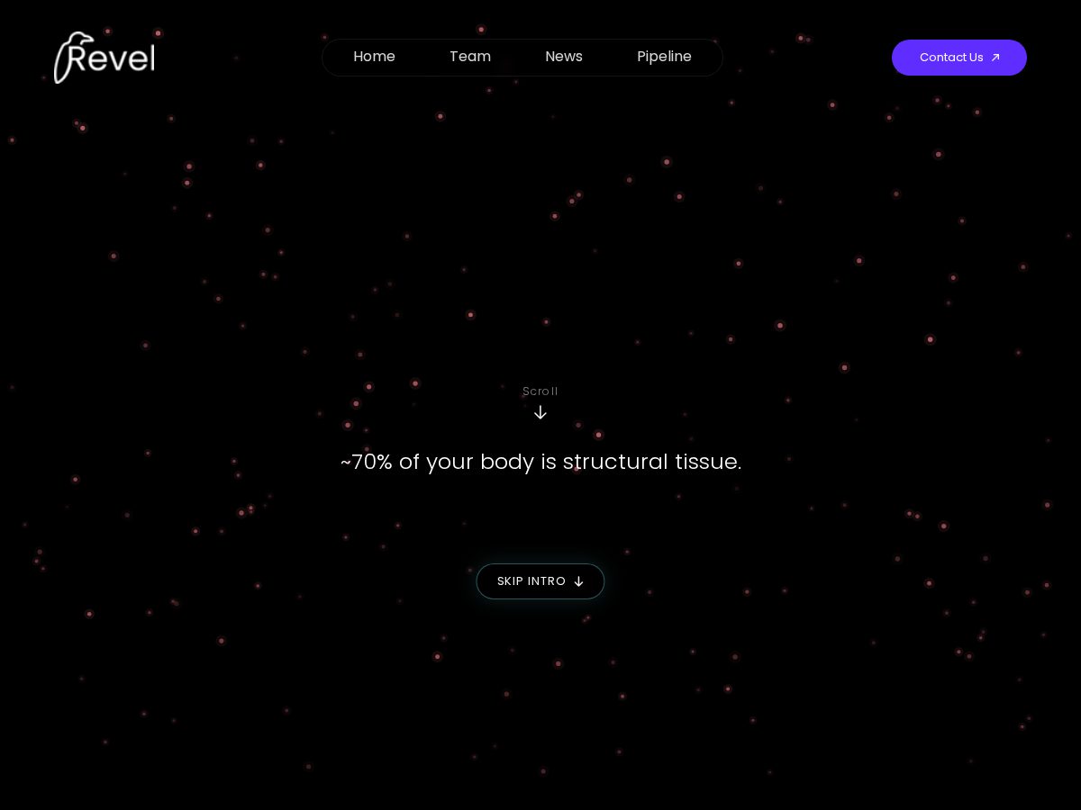 Landing-page snapshot of revelpharma.org