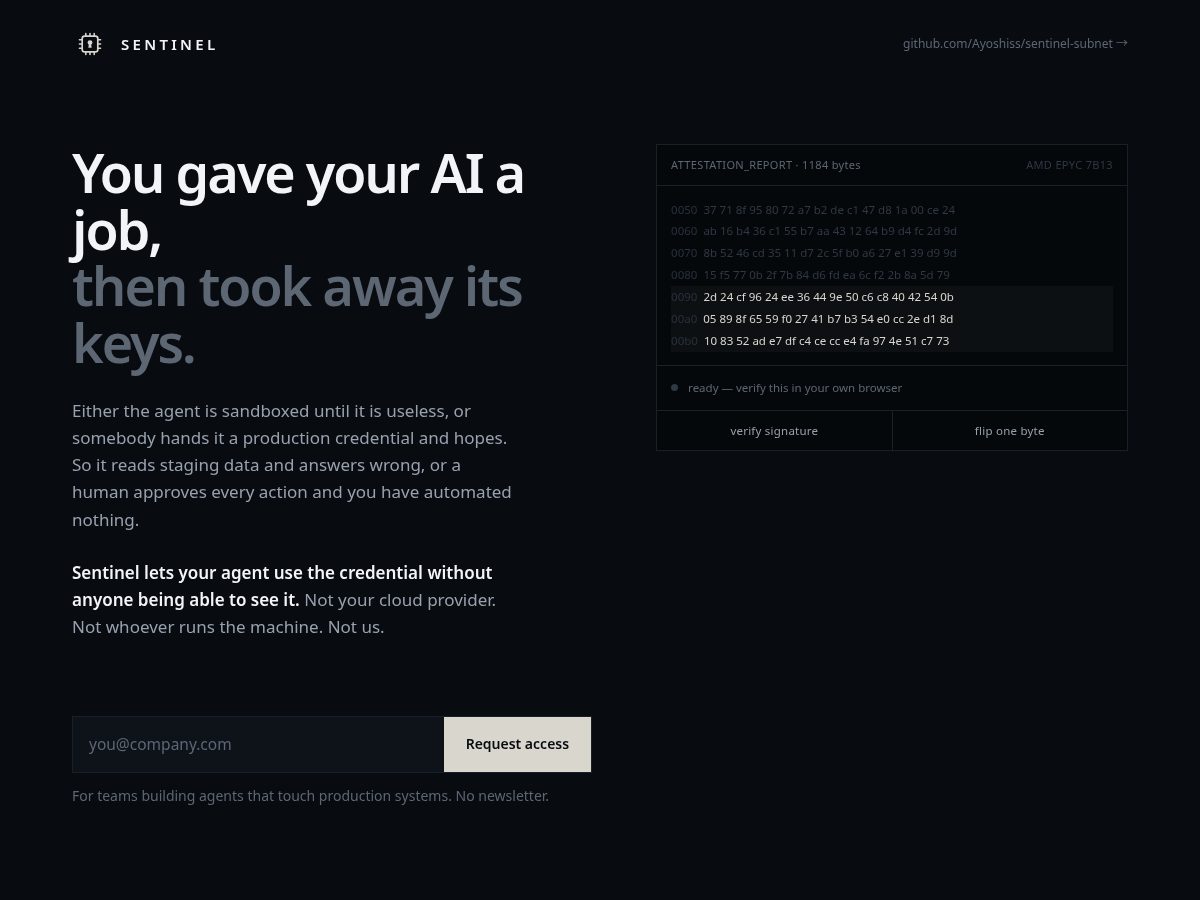 Landing-page snapshot of sentinelsubnet.com