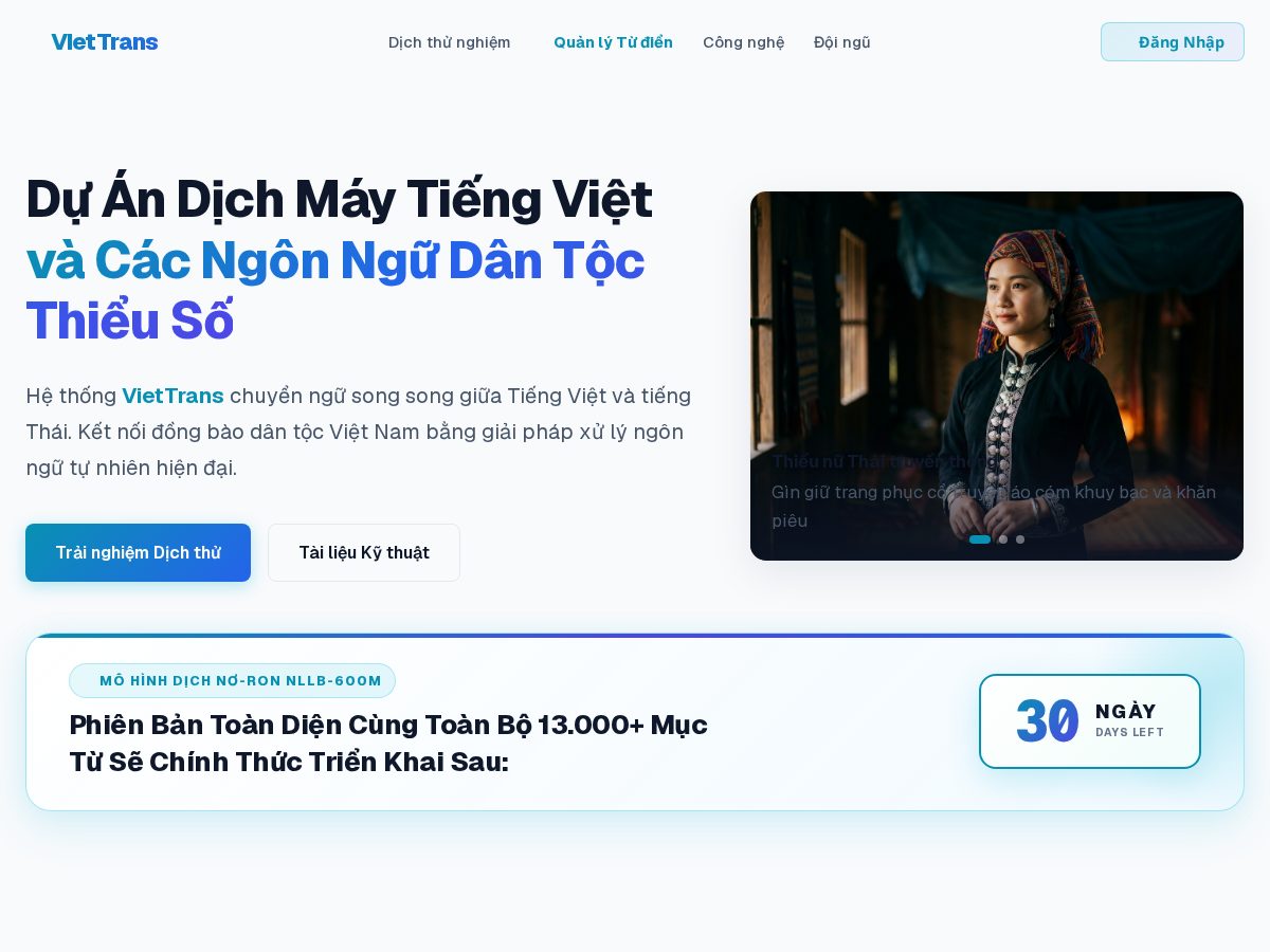 Landing-page snapshot of viettrans.info