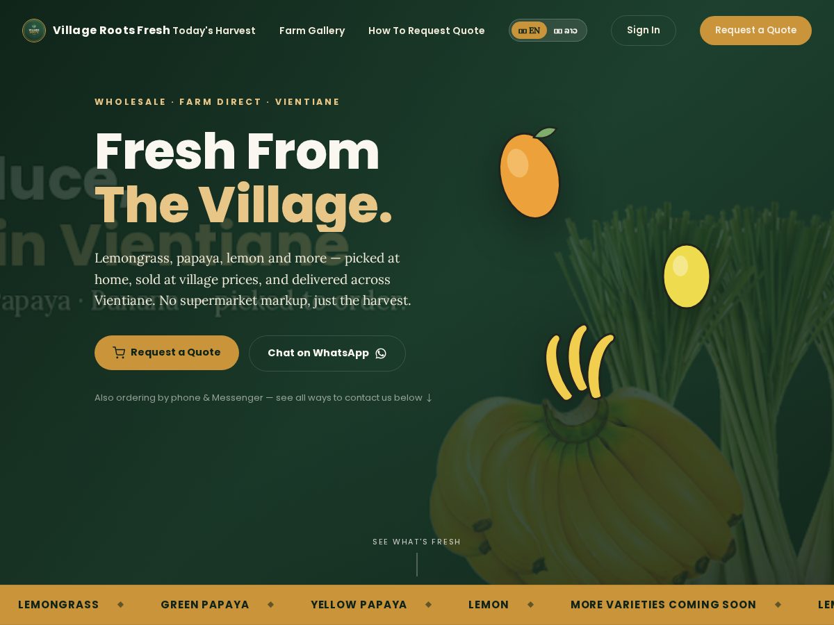 Landing-page snapshot of villageroot.garden
