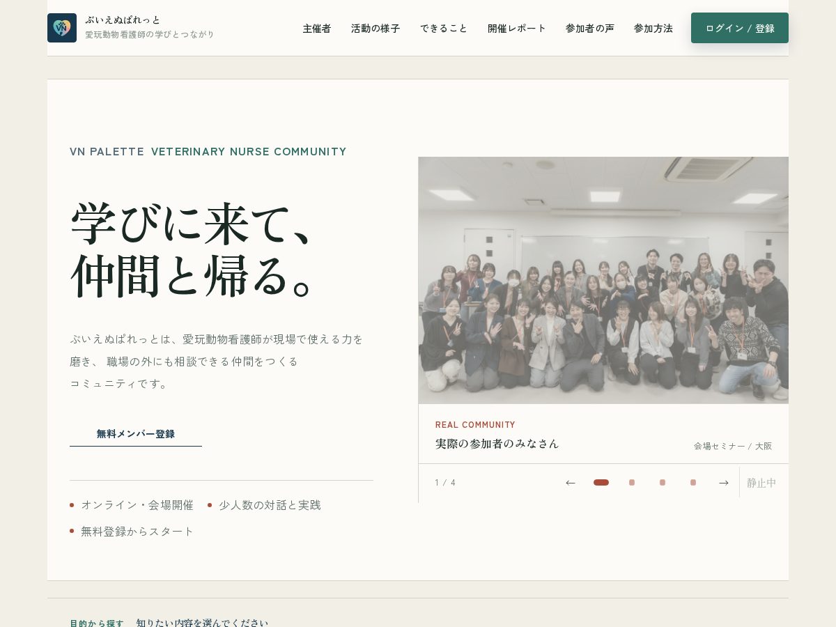 Landing-page snapshot of vn-palette.com